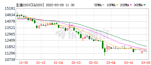 2022.03.28-今日猪价全国大面积持稳，龙头企业逆市扩张，中小散户之路在何方？