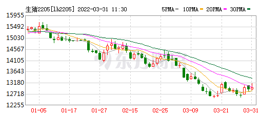 2022.03.31-今日猪价出现大面积上涨,猪价连续4个月下跌,能挺过最艰难的时刻吗?俄非瘟病毒是美国造成的?正邦去产能突出能繁母猪降至38万头