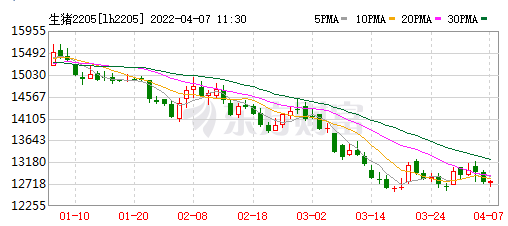 2022.04.07-今日猪价总体平稳,一季度养猪头均亏损超200元;温氏1季度生猪销量同增92%;双胞胎亿元助农抓苗最高补贴2万元;生猪股和期货双双飘绿