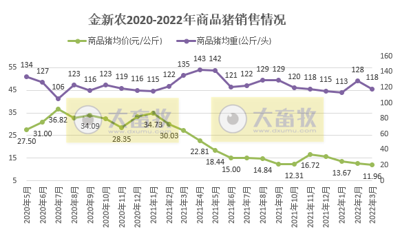 金新农2022年3月及1季度生猪销售情况
