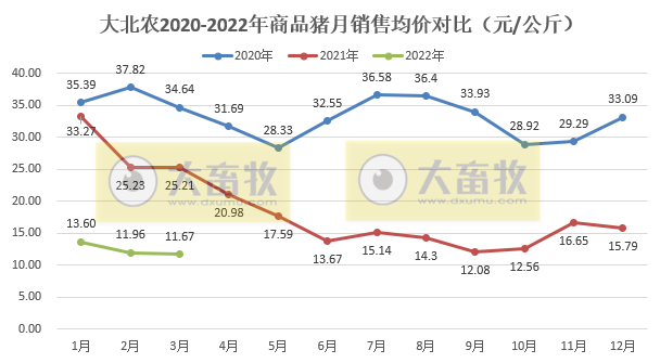 大北农2022年3月及1季度生猪销售情况
