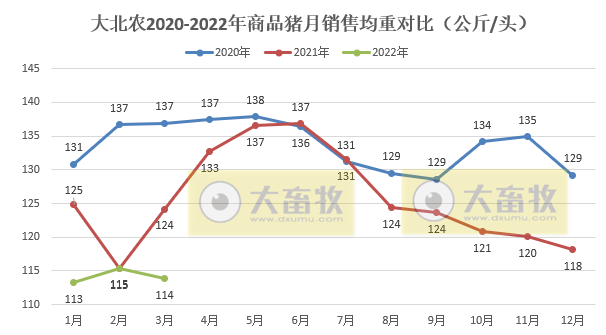 大北农2022年3月及1季度生猪销售情况