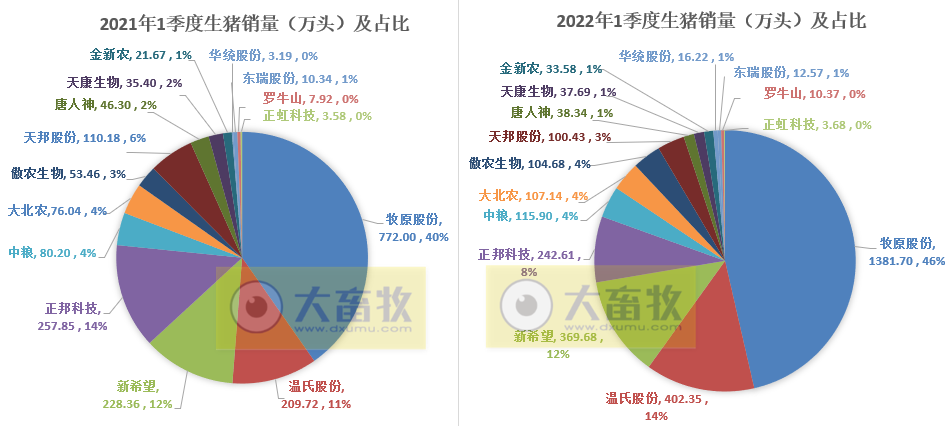 15家上市猪企2022年1季度生猪销售业绩和生产指标PK