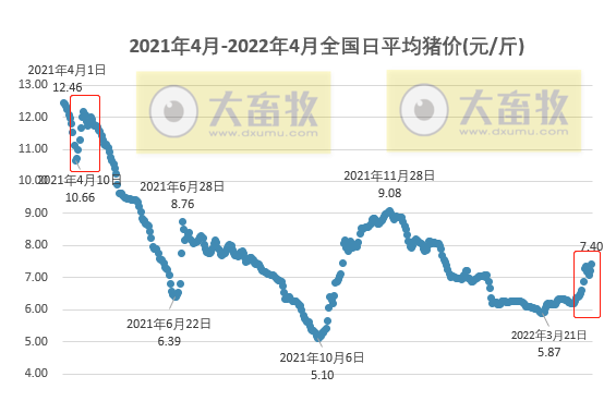 2022.04.26-今日猪价大面积上涨,创此轮新高;价格持续上涨生猪压栏可能再现,下半年将会重蹈2021年的覆辙?金新农一季度亏1.5亿,人员减少致管理费用降61%