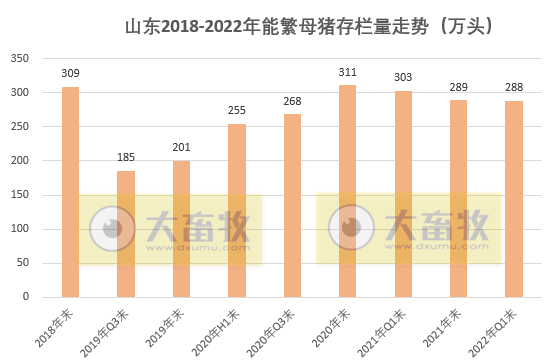 2022.05.01-今日猪价继续上涨，预计5月上半月调整后开始逐步上涨？能繁母猪存栏量同比首次出现负增长；山东1季度生猪生产情况