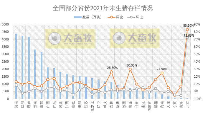 全国各省2021年度及2022年1季度生猪生产情况