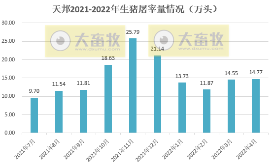 牧原、温氏等17家上市猪企2022年4月生猪销售情况