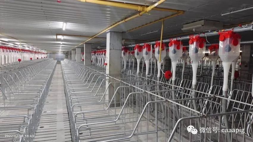 投资1.7亿元建设的“新希望新津智能养殖猪场”正式投用