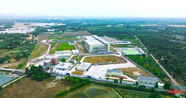 投资1.7亿元建设的“新希望新津智能养殖猪场”正式投用