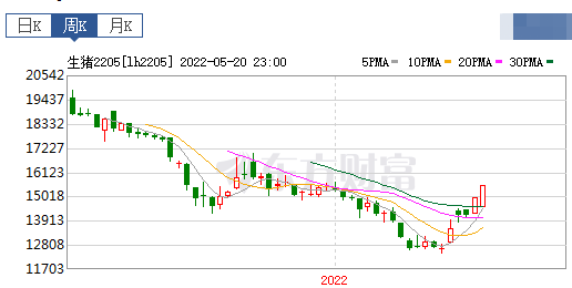 2022.05.22-今日猪价全国以稳为主，端午小长假会推动猪价上一个台阶吗？南方梅雨季节养猪防控需谨慎；韩国五花肉飙涨至75元/斤