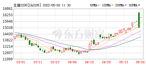 2022.05.26-今日猪价西南全面上涨,屠企收猪价连9周上涨;为何猪肉收储多次流拍还要再收?正邦收到深交所的问询函;广东去产能接近尾声,三季度有望实现扭亏为盈