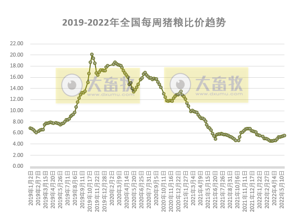 2022.05.30-今日猪价继续稳中有跌,头均生猪连续3周盈利已超百元 ;饲料持续上涨该如何降成本?猪企单头生猪成本差距悬殊