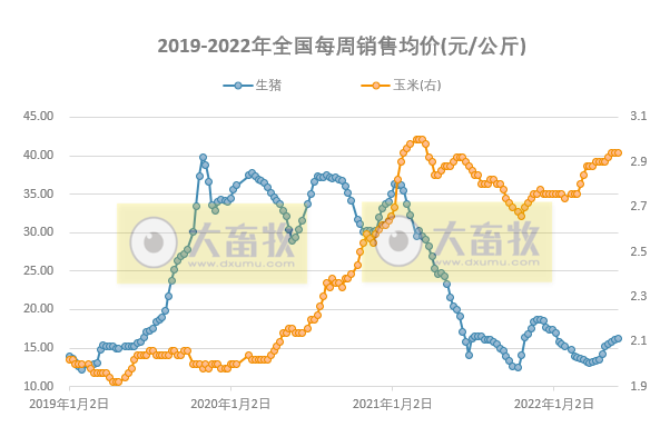2022.05.30-今日猪价继续稳中有跌,头均生猪连续3周盈利已超百元 ;饲料持续上涨该如何降成本?猪企单头生猪成本差距悬殊