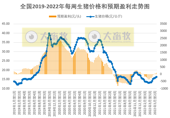 2022.05.30-今日猪价继续稳中有跌,头均生猪连续3周盈利已超百元 ;饲料持续上涨该如何降成本?猪企单头生猪成本差距悬殊