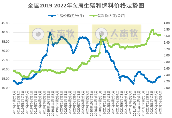 2022.05.30-今日猪价继续稳中有跌,头均生猪连续3周盈利已超百元 ;饲料持续上涨该如何降成本?猪企单头生猪成本差距悬殊