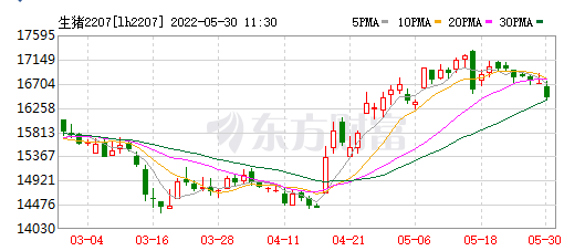 2022.05.30-今日猪价继续稳中有跌,头均生猪连续3周盈利已超百元 ;饲料持续上涨该如何降成本?猪企单头生猪成本差距悬殊