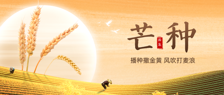 2022.06.06-今日猪价东北华北全面上涨，国家统计局数据生猪价格刷新今年最高纪录；玉米豆粕价格持续高位震荡；屠企收猪价连10周上涨