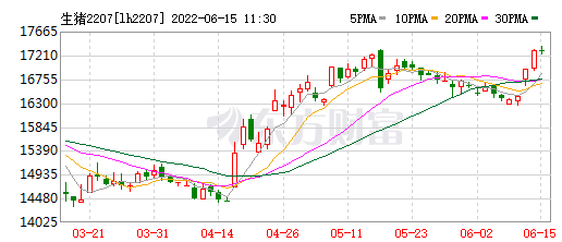 2022.06.15-今日猪价再次刷新今年以来最高纪录，海南涨至9.7元，此轮上涨的原因？猪价上涨，该压栏还是抛售呢？天康生猪产能达到270万头