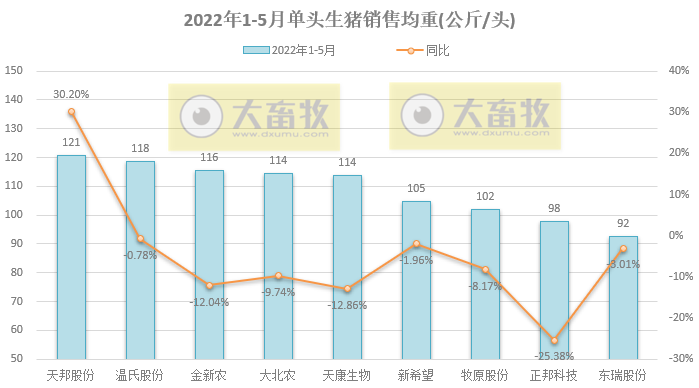 16家上市猪企2022年5月生猪销售业绩和生产指标PK