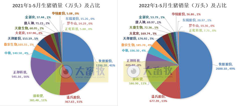 16家上市猪企2022年5月生猪销售业绩和生产指标PK