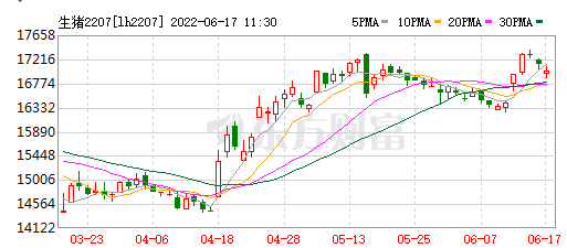2022.06.17-今日猪价上涨省份在减少，以稳为主；第12批冻猪肉收储开启；发改委回应近期猪价出现回升的原因；养猪最困难的时期已经过去