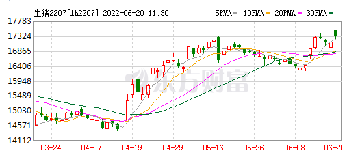 2022.06.20-今日猪价东北全面上涨，行情持续僵持，猪价窄幅调整为主；发改委公布头均盈利约164元；正邦又收到深交所的关注函，却迎来涨停