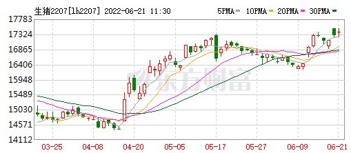 2022.06.21-今日猪价24省上涨，刷新今年以来最高价；仔猪价格连续12周上涨；天邦拟10.2亿元出售种猪业务公司51%股权；京基智农母猪存栏达9.19万头