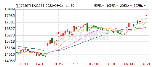 2022.06.24-今日猪价再创新高，有21省突破9元；玉米价格创年内新高；养猪巨头持续扩张，那到底有无尽头？散户还有机会吗？