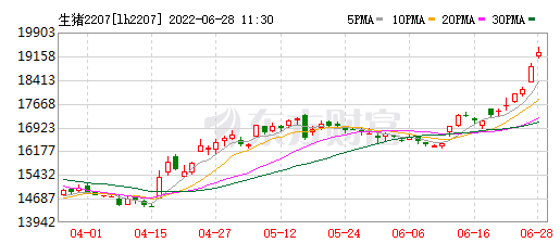 2022.06.28-今日猪价大跨步上涨，6省突破10元大关，看涨情绪不减；猪粮比即将突破6，头均盈利约227元；各大猪企如何看待下半年猪价？