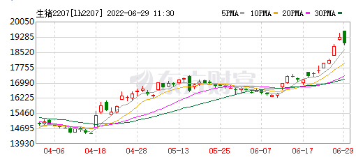 2022.06.29-今日猪价上涨势头猛烈，18省突破10元，见好就收还是待价而沽？东北仔猪价格最高；扬翔明日IPO首发申请上会；猪价和猪肉股及期货出现涨跌分化
