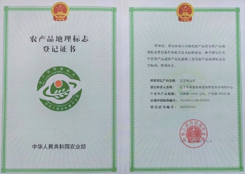 国家地理标志农产品——辽宁绒山羊