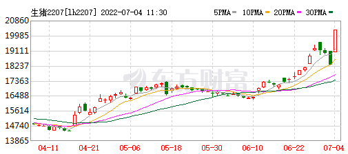 2022.07.04-今日猪价满堂红，17省突破11元，最高涨幅1元，快速上涨可能导致后期快速下跌；生猪股和期货双双齐飘红