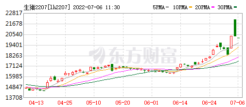 2022.07.06-今日猪价较3月低位上涨103%,上海浙江突破13元,短期猪价或高位盘整;养猪头均盈利约500元;东瑞生猪销量连续3个月下降