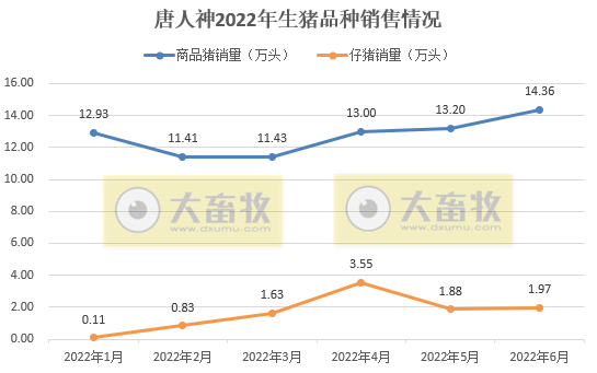 唐人神:上半年预亏1.3亿元,生猪产能释放,商品猪销量连续4个月增长,仔猪销量同比大幅下降——2022年上半年生猪销售和业绩情况