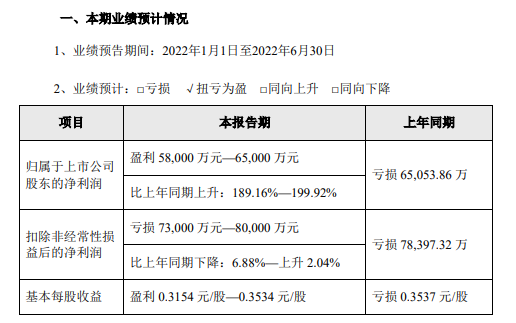 天邦股份:6月猪价年内创新高,生猪养殖仍处于亏损,仔猪销量同比减少94%——2022年6月和上半年生猪生产销售情况