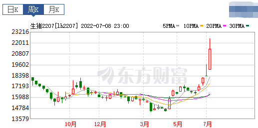 2022.07.10-今日猪价全国又大面积上涨，最高涨幅1.1元，20省突破12元，“猪肉刺客”会出现吗？适当扩产能获得可观利润？