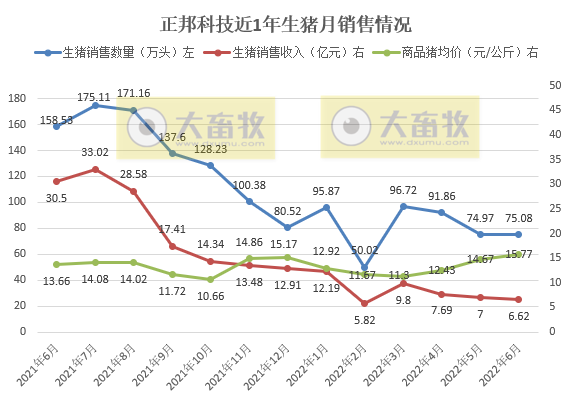 19家上市猪企2022年6月及上半年生猪销售数据汇总