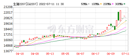 2022.07.11-今日猪价华北东北全面下跌，广东上涨至13元；正邦商品猪均重降至75公斤/头；温氏成立猪业三部，能繁母猪年底存栏140万头