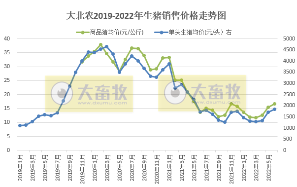 大北农2022年6月及上半年生猪销售情况