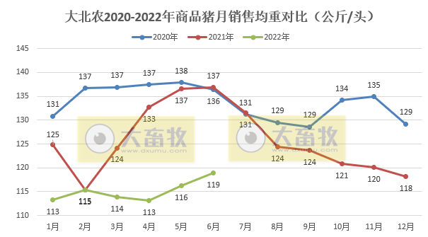 大北农2022年6月及上半年生猪销售情况