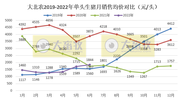 大北农2022年6月及上半年生猪销售情况