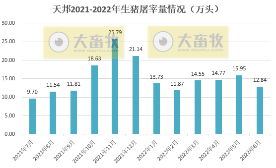 天邦股份:6月猪价年内创新高,生猪养殖仍处于亏损,仔猪销量同比减少94%——2022年6月和上半年生猪生产销售情况