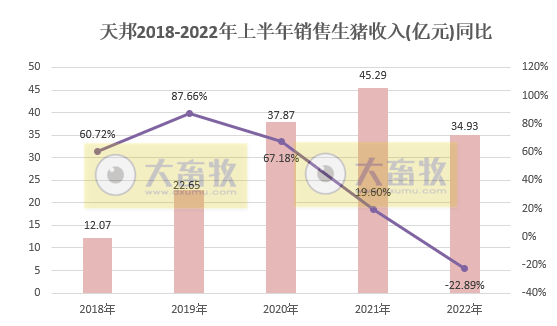 天邦股份:6月猪价年内创新高,生猪养殖仍处于亏损,仔猪销量同比减少94%——2022年6月和上半年生猪生产销售情况