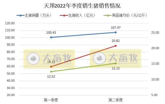 天邦股份:6月猪价年内创新高,生猪养殖仍处于亏损,仔猪销量同比减少94%——2022年6月和上半年生猪生产销售情况