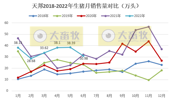 天邦股份:6月猪价年内创新高,生猪养殖仍处于亏损,仔猪销量同比减少94%——2022年6月和上半年生猪生产销售情况