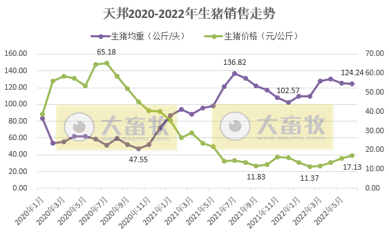 天邦股份:6月猪价年内创新高,生猪养殖仍处于亏损,仔猪销量同比减少94%——2022年6月和上半年生猪生产销售情况