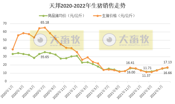 天邦股份:6月猪价年内创新高,生猪养殖仍处于亏损,仔猪销量同比减少94%——2022年6月和上半年生猪生产销售情况