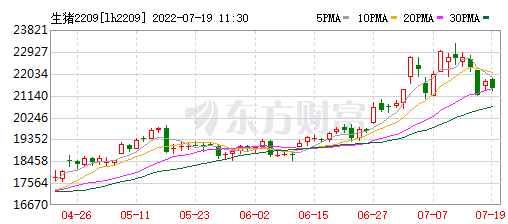2022.07.19-今日猪价大多省份上涨,生猪养殖头均盈利超900元,下半年生猪盈利是否稳了?秦英林表示每头猪还有600元的成本空间