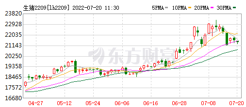 2022.07.20-今日猪价大多省继续上涨，仔猪价格连续16周上涨，涨至近1年内最高价；河南、四川和湖北上半年生猪数据出炉