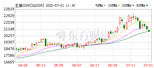 2022.07.21-今日猪价多地震荡回调，上半年一头猪平均亏损98元，农业农村部称后期猪价不具备持续大幅上涨的动力，下半年肥猪供应有保障